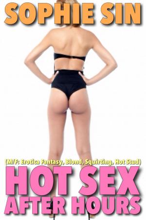 Book cover of Hot Sex After Hours