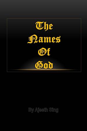 Cover of the book The Names Of God by Sekhar Reddy Vasa