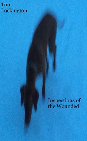Book cover of Inspections of the Wounded