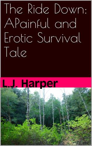 Cover of the book The Ride Down: An Painful and Erotic Survival Tale by Hannah Butler