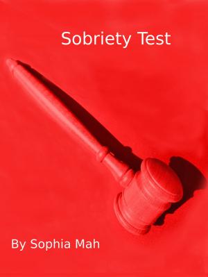 Book cover of Sobriety Test