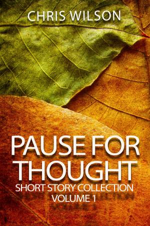 bigCover of the book Pause for Thought Short Story Colllection Volume 1 by 