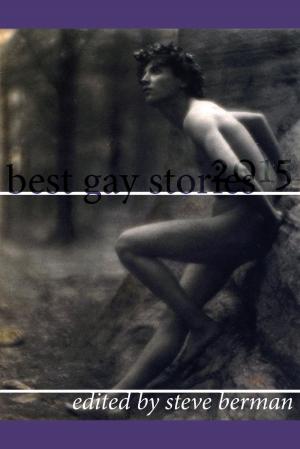 Cover of the book Best Gay Stories 2015 by Steve Berman