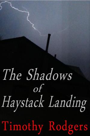 bigCover of the book The Shadows of Haystack Landing by 