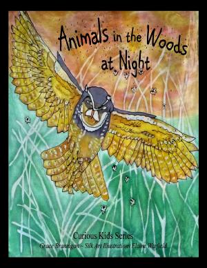 Book cover of Animals in the Woods at Night