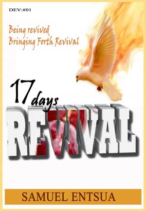 Cover of the book 17 Days Revival by Christina DeMara