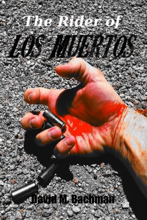 Cover of the book The Rider of Los Muertos by N.S. Chorman
