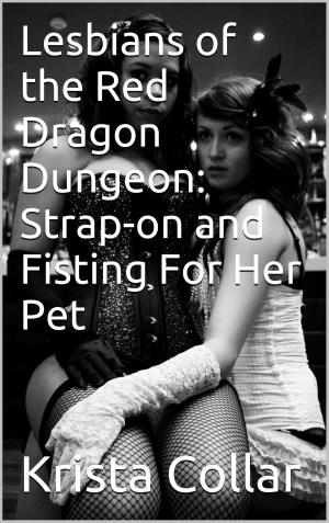 Cover of the book Lesbians of the Red Dragon Dungeon: Strap-on and Fisting For Her Pet by J.S. Harper