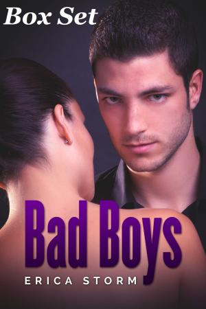 Cover of the book Bad Boys' Box Set by Erica Storm