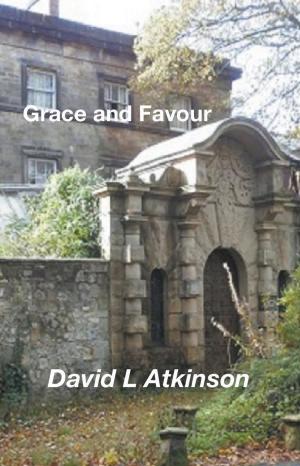 Cover of the book Grace and Favour by Luis Portas