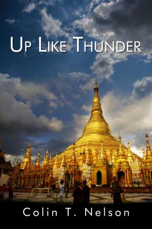 Book cover of Up Like Thunder