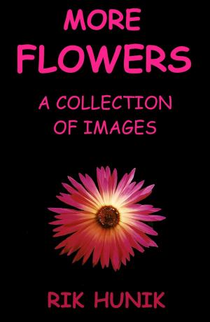 Cover of More Flowers: A Collection Of Images