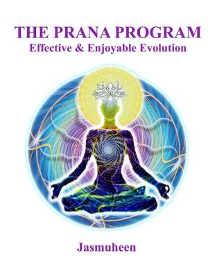 Book cover of The Prana Program - Effective & Enjoyable Evolution
