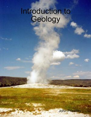 Cover of the book Introduction to Geology by Edgar Fouche, Brad Steiger