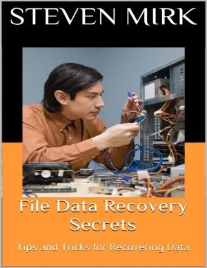 Cover of the book File Data Recovery Secrets: Tips and Tricks for Recovering Data by Doreen Milstead