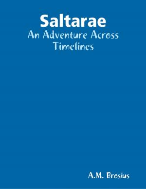 Cover of the book Saltarae: An Adventure Across Timelines by G.C. McRae