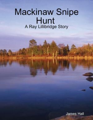 Book cover of Mackinaw Snipe Hunt : A Ray Lillibridge Story