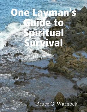 Cover of the book One Layman's Guide to Spiritual Survival by Kiran David