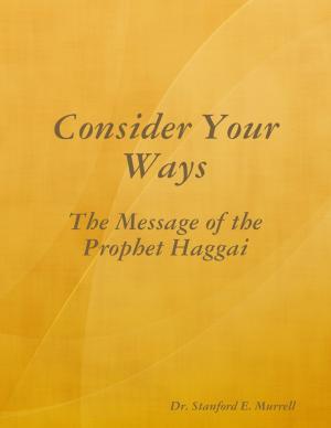 Cover of the book Consider Your Ways by Gaia Rose