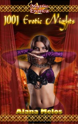 Book cover of 1001 Erotic Nights