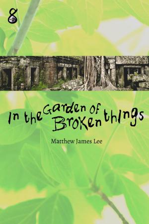 Cover of the book In the Garden of Broken Things by C. B. Hampton