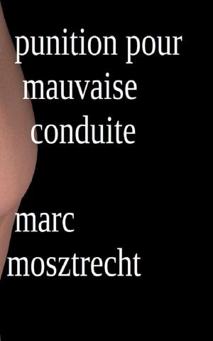 Cover of Punition Pour Mauvaise Conduite