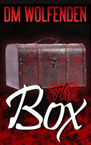 Cover of the book The Box by Julie Anne Peters