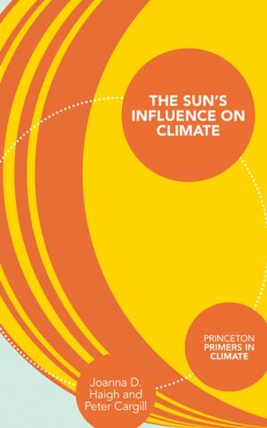 Cover of the book The Sun's Influence on Climate by Yitzhak Nakash