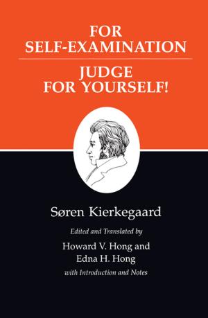 bigCover of the book Kierkegaard's Writings, XXI, Volume 21 by 