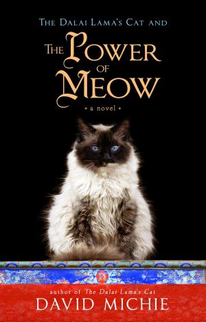 Cover of the book The Dalai Lama's Cat and the Power of Meow by Jonathan Reggio