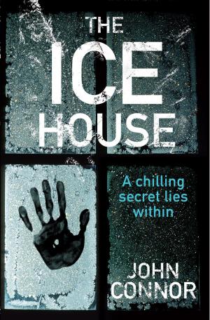 Cover of the book The Ice House by E.E. 'Doc' Smith, Stephen Goldin