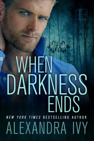 Cover of the book When Darkness Ends by Georgina Gentry