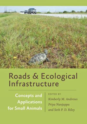 Cover of the book Roads and Ecological Infrastructure by Geoffrey C. Bunn