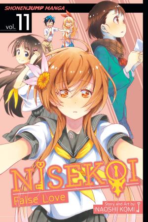 bigCover of the book Nisekoi: False Love, Vol. 11 by 