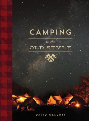 Cover of the book Camping in the Old Style by Zahid Sardar