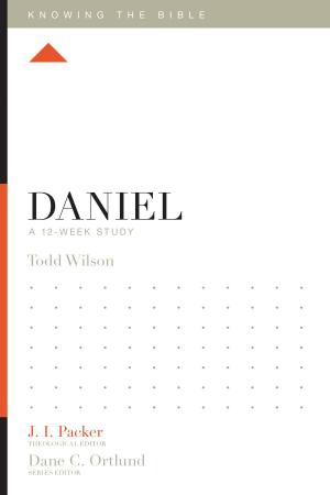 Cover of the book Daniel by Sanders L. Wilson