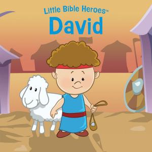 Cover of the book David by Shaunti Feldhahn, Robert Lewis