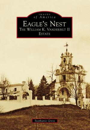 Cover of the book Eagle's Nest by E.J. Stephens, Kim Stephens