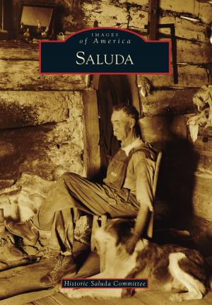 Cover of the book Saluda by D.C. Jesse Burkhardt