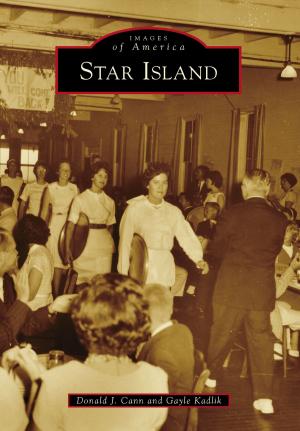 Cover of the book Star Island by Allen Meyers