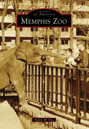 bigCover of the book Memphis Zoo by 