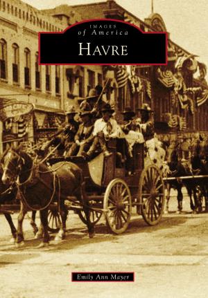 bigCover of the book Havre by 