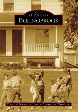 Cover of the book Bolingbrook by Bob Briggs