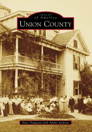Cover of the book Union County by Michael Haynes