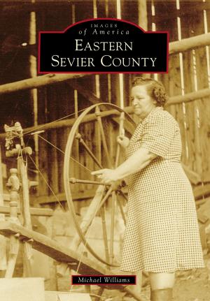 Cover of the book Eastern Sevier County by Mike Bunn, Clay Williams