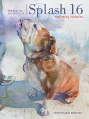 Cover of the book Splash 16 by Julie Fei-Fan Balzer