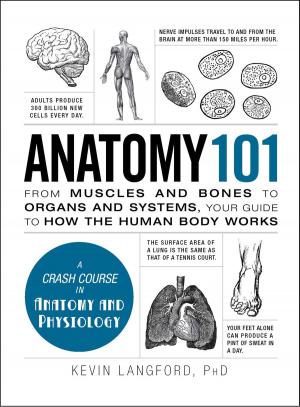 Cover of the book Anatomy 101 by Sharon Naylor