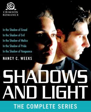 Cover of the book Shadows and Light by Elley Arden