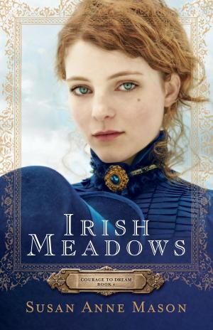 Cover of the book Irish Meadows (Courage to Dream Book #1) by Tim Keel