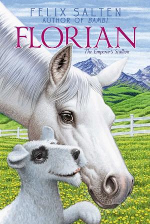 Cover of the book Florian by Lucy Post Frisbee